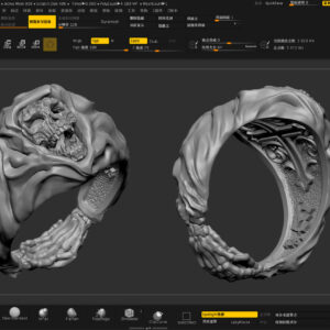 Sculping Rings