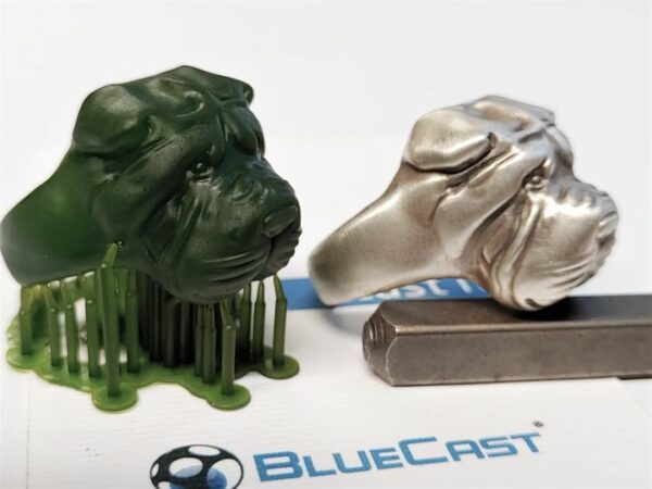 Bluecast X10 - Image 2
