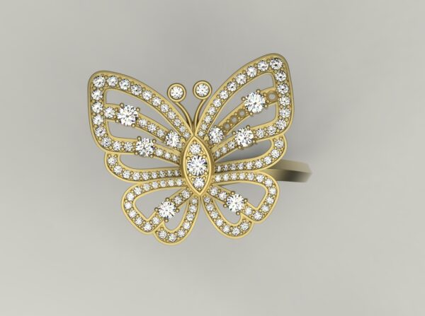 Butterfly6